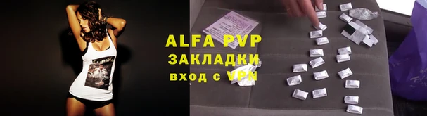 ПСИЛОЦИБИНОВЫЕ ГРИБЫ Алзамай
