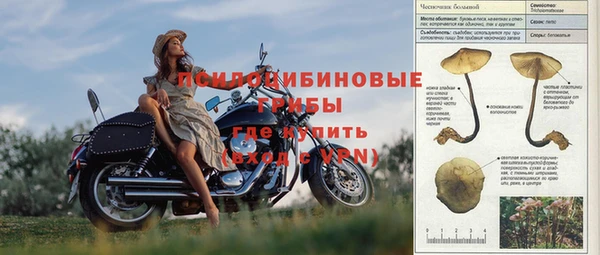 спайс Алексеевка