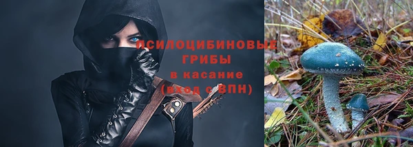 шишки Костерёво